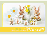 Cataloog Pasen - Thema s 2026 - Marco