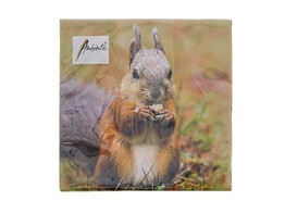 Servet Squirrel 33cm x 33cm