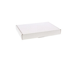 Brievenbusdoos 220 x 155 x 28 mm wit plooidoos met insteekklep
