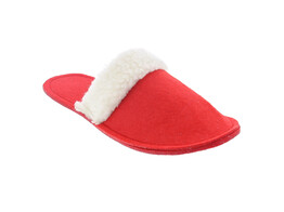 Pantoffel van de kerstman