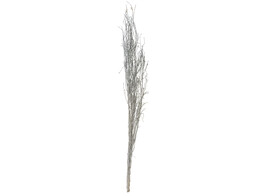 Branche decoration argent