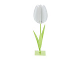  Rutty  3D deco tulp wit
