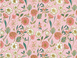 SC Papier cadeau 50cm x 200m R79202 B