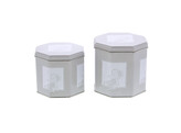 OTL Metal hexagonal set/2 souris