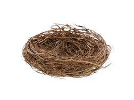 Nest 11 5 cm