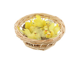 Nest 3101 5cm 3 kuikens/pluim