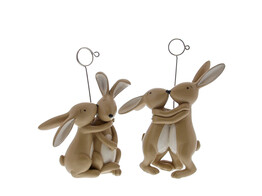 Lapin  Zoef  couple foto-clip