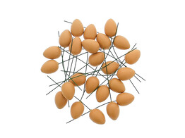 Kwartelei op stick nude