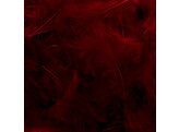 Feathers bordeaux        10508