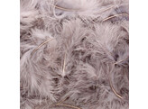 Feathers cement          10404