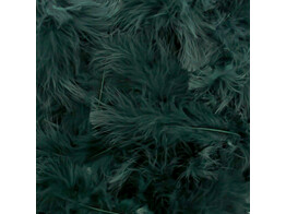 Feathers