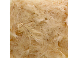 Feathers