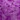 Pluimen lila             10593