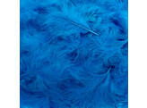 Plumes scuba             10602
