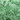 Pluimen smokey groen    17494