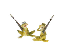 Kikker  Froggy  fotoclip