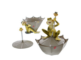 Kikker  Froggy  bonbonniere