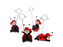  Happy ladybug  photo-clip