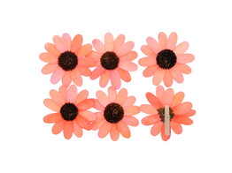 Paquerette sur pince GM orange