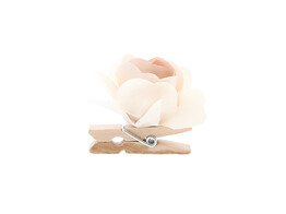 Rose sur pince rose claire