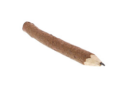Pencil branch