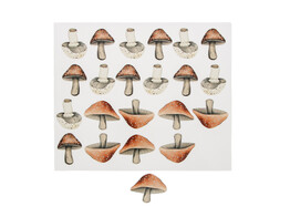 Autocollant brillant  Mushroom mix  champignons PM