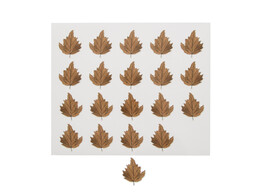 Autocollant brillant  Mushroom mix  feuille PM
