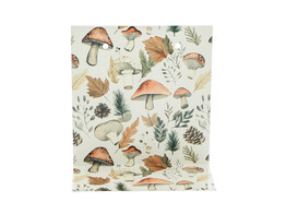 Carton-J pour sac en PET  Mushroom mix   CEL45314 