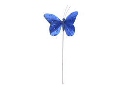 Vanesse du chardon tige bleu marine