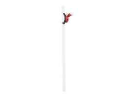  Happy ladybug  pencil
