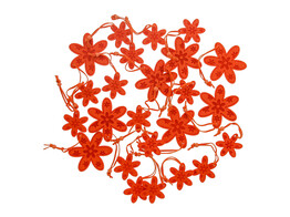  Lily  hangbloem oranje