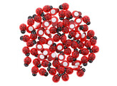 Ladybug sticker red
