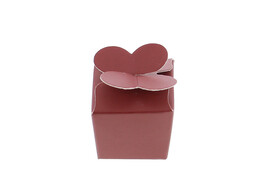 Butterfly-box 1 chocolate