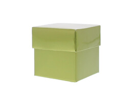 Cube kiwi