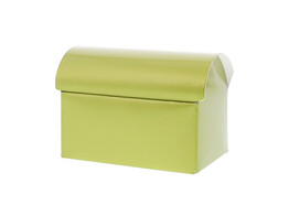 Cardb. trunk small uni kiwi