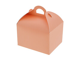 Sweetbox with handle 125-150 gr. peach