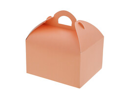Sweetbox with handle 250 gr. peach