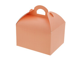 Sweetbox with handle 500 gr. peach