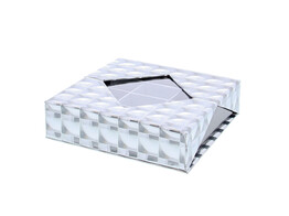  Hologram  square flat 12 compartments silver-black