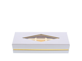 Window box rectangular 245 x 95 mm white