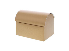  Seta  trunk 250 gr. gold
