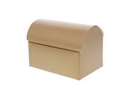  Seta  trunk 500 gr. gold