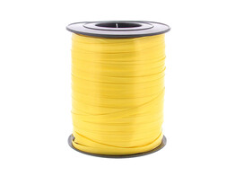 Ruban Poly plain 5mmx500m   007