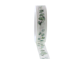 Ribbon Eucalyptus 25mm x 20m colour 592