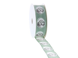 Wired ribbon  Bunny Genius  25mmx20m colour 022 smokey green