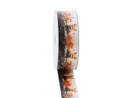 Ruban satin renard  Roka  25mm x 20m couleur 140