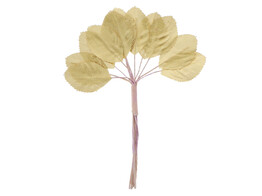 Blad 34 goud