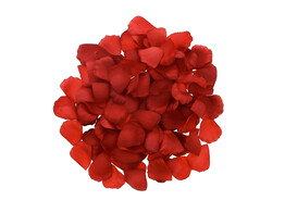 Feuilles de rosier