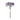 Rambler x 12 light aubergine