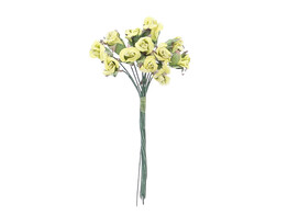 Kletterrose